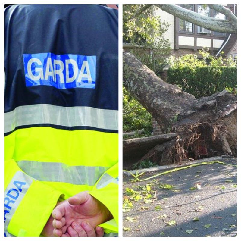 Emergency services at scene of fallen tree on Tipperary road