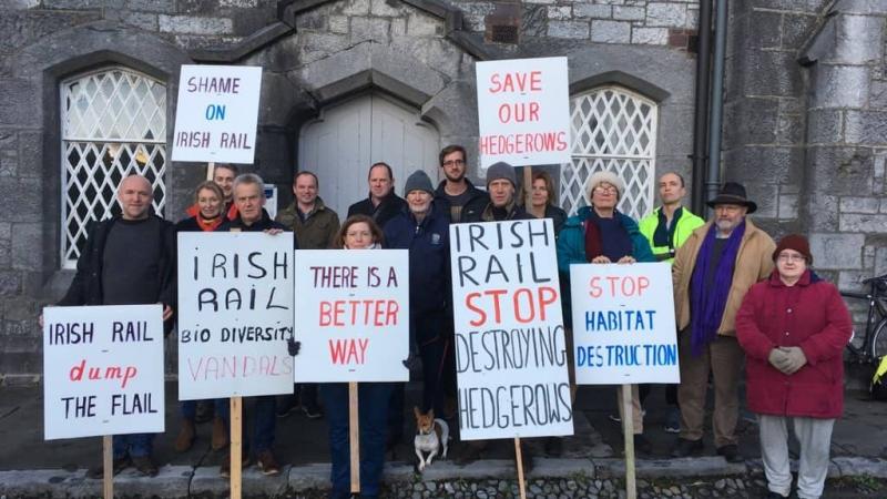 Environmental hedgegrow  protest  to be held at Limerick Junction today