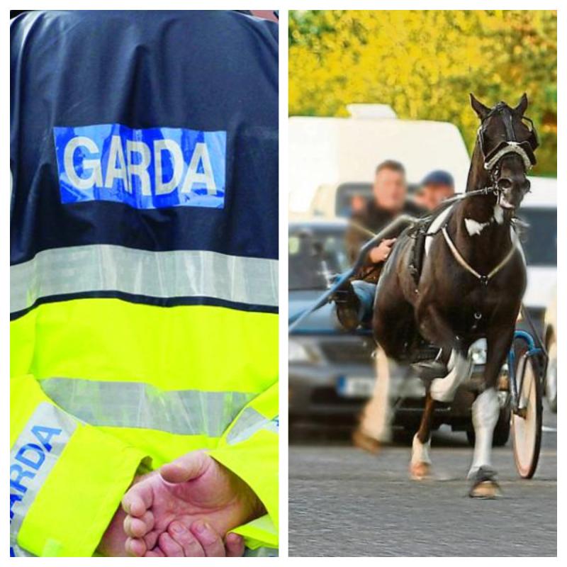 Gardaí investigating 'shocking' four-lane sulky race on Waterford to Dublin motorway 
