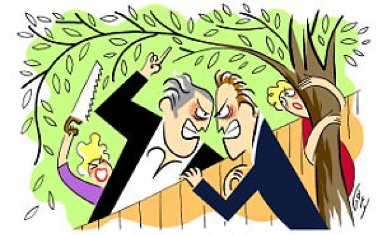 Advice on dealing with neighbour disputes from Tipperary's Lynch Solicitors