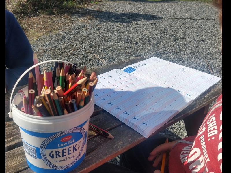 Juggling home-schooling, working from home and managing general household chaos