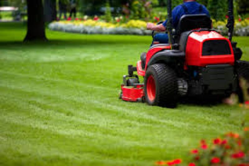 grass cutting