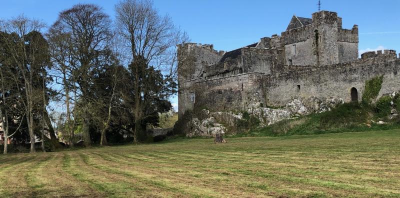 Tipperary council closes Cahir's Inch Field for over two weeks