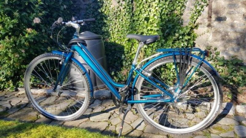 Kildare Gardaí seek information on lady's Raleigh bicycle taken from garage 