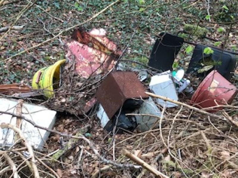 Templemore driver threw bag of rubbish into forest    