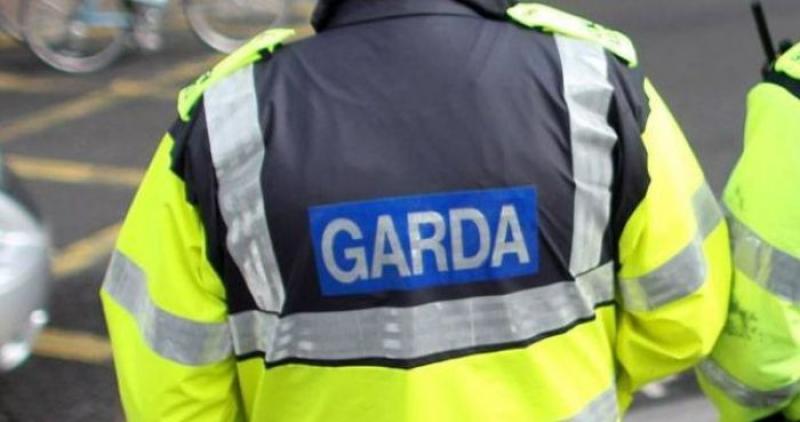 Tipperary garda&iacute; are investigating an egg-throwing incident at house in rural village
