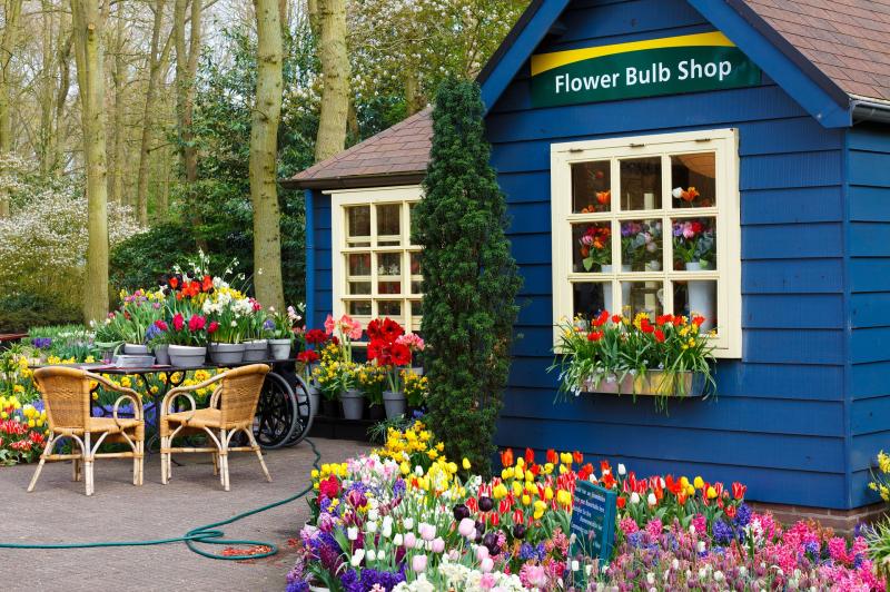 Gardening with James Vaughan: Support your local garden centre
