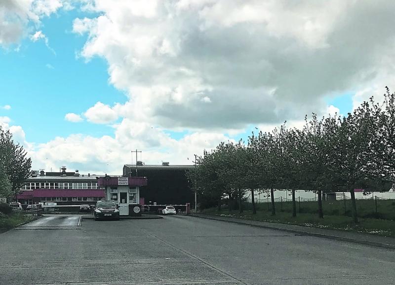 PETA to target Roscrea meat plant with billboard campaign Tipperary Live