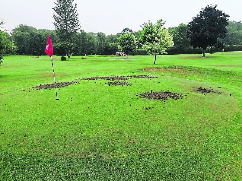 Repair work carried out at Lakeside Pitch & Putt following damage to green
