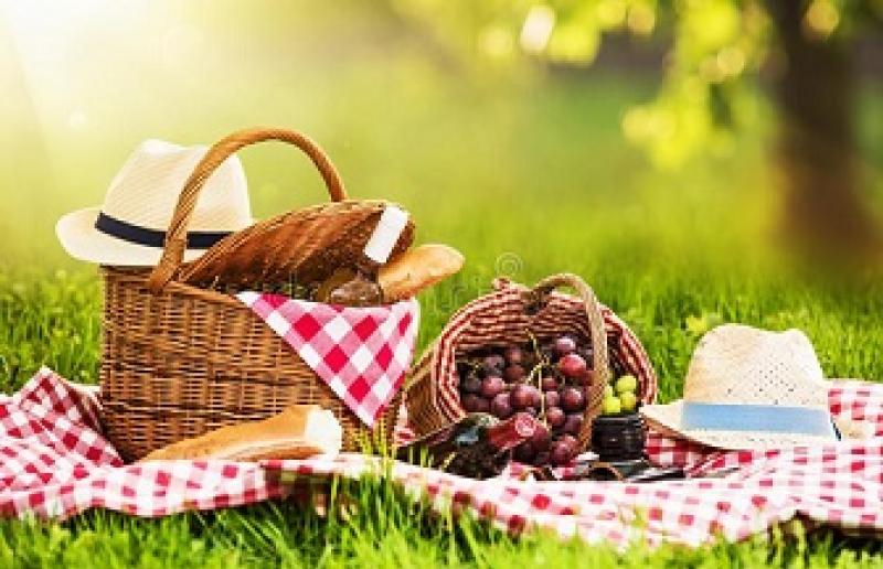 Picnic