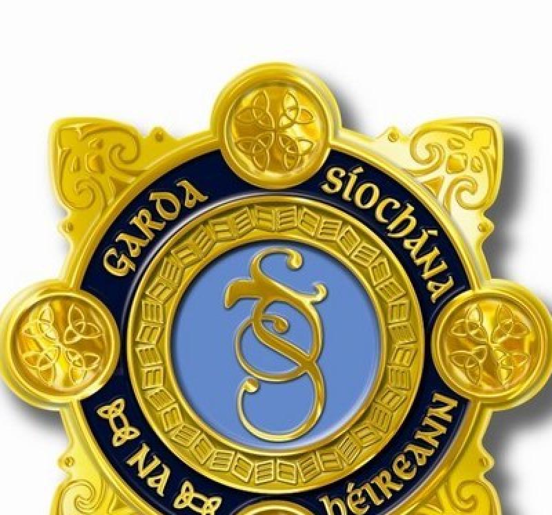 Garda investigation
