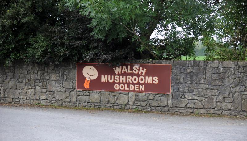 Tipperary Tipperary Tipperary 