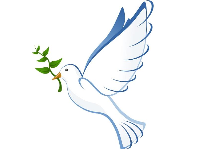 Confirmation Dates in Two Mile Borris, Littleton and Moycarkey