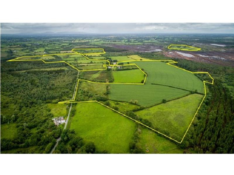 The Derrynaflan Chalice’s  ‘treasured lands’  are for sale