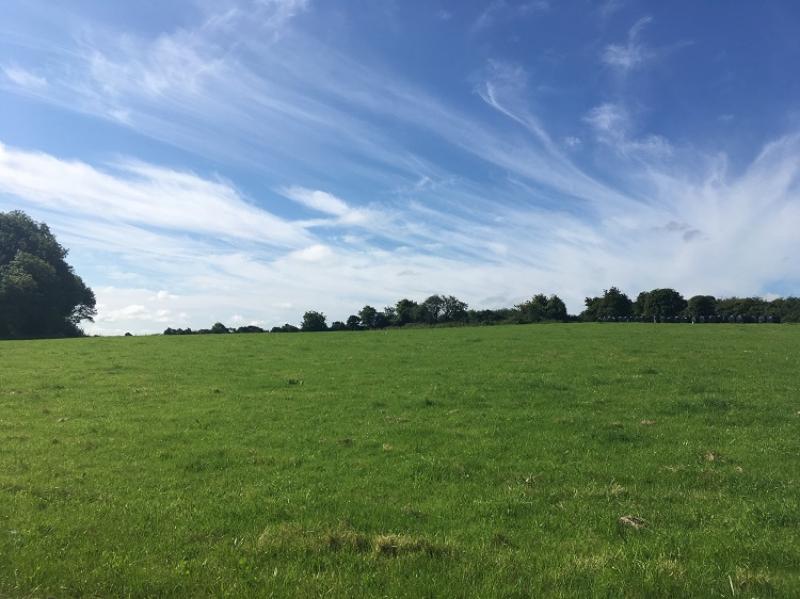 Compact holding near Borrisoleigh, Co Tipperary