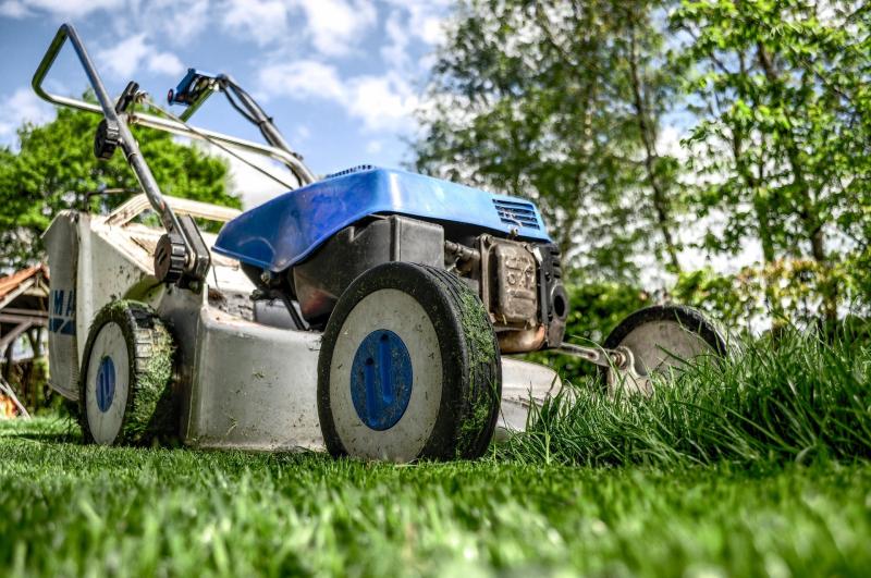 Gardening with James Vaughan: Repair and revive lawns for the season ahead