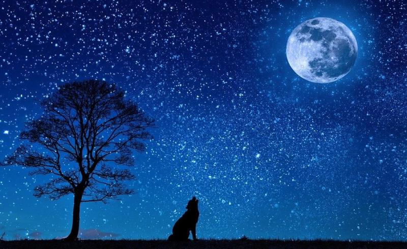Carrick-on-Suir Library talk will explore the Moon 
