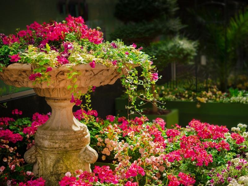 Borris-in-Ossory ICA garden competition