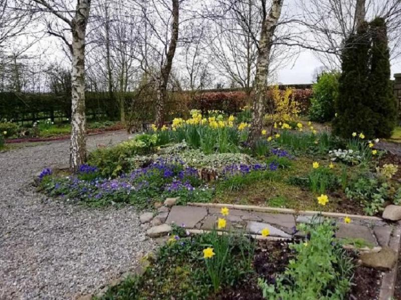 Thank you from Gortnalee Gardens