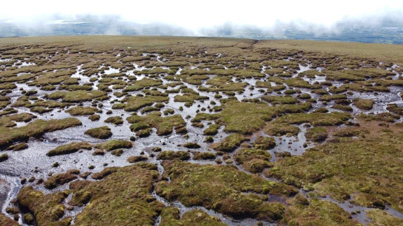 €20m funding approved to conserve 'vitally important' blanket bogs in Ireland