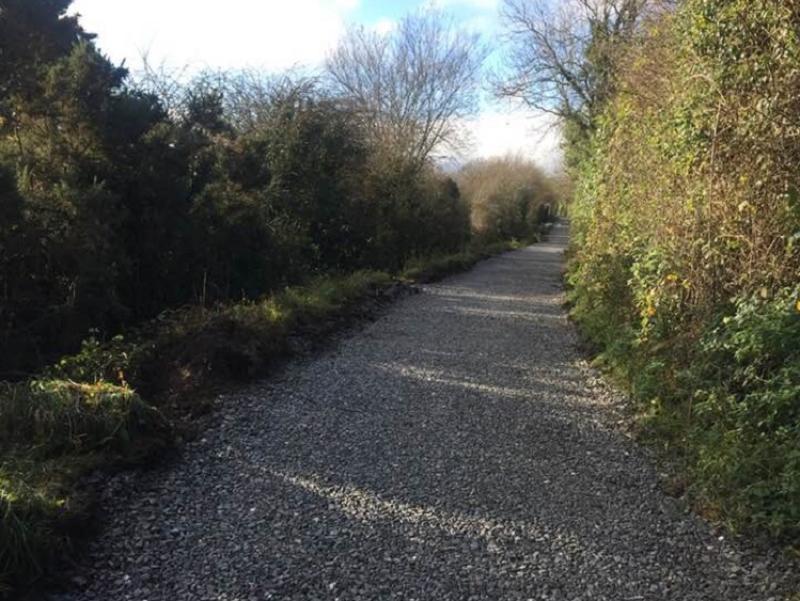 New walking loop from the Horse & Jockey to Derrynaflan Island