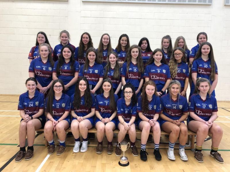 Pres Ballingarry are North Munster Junior Camogie champions 