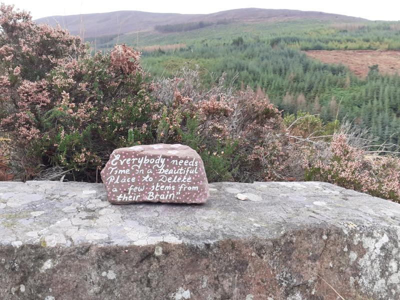 Great upset caused by  removal of hand painted stones from popular walking routes in Clogheen area