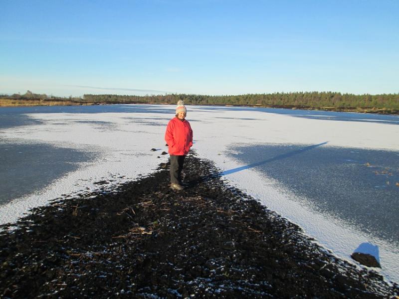 Icing on the lake at Killeens-Liskeveen, Littleton
