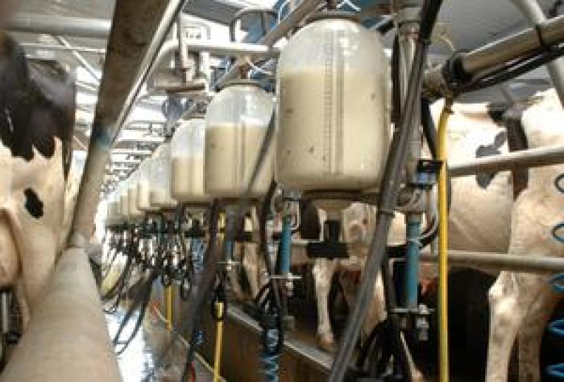 Tírlan milk price for November 