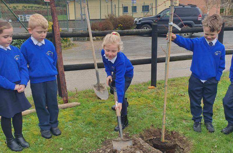 Silvermines NS pupils plant Remembrance Tree