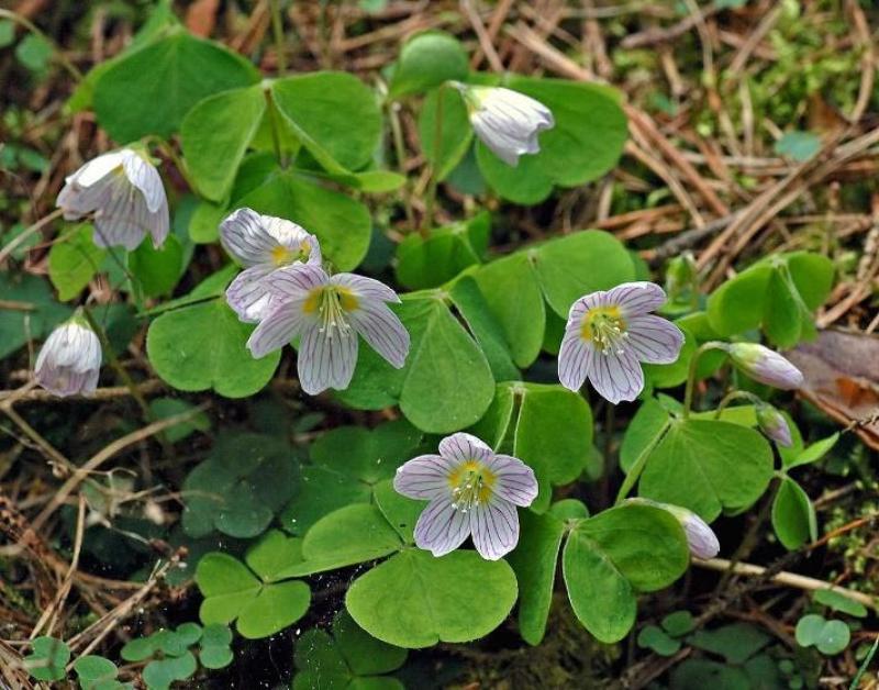 Albert Nolan: Learn to appreciate the great outdoors