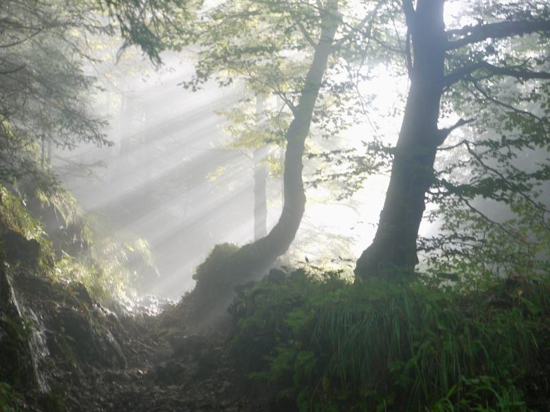 Sadness at death of Bridget Howard, Clogheen and County Leitrim