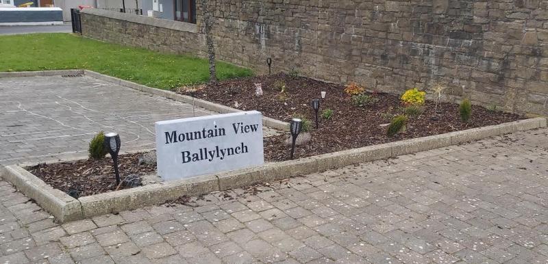 Carrick-on-Suir residents group thank local firm for name stone donation