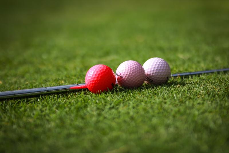 West Waterford lady golfers looking forward to Monday
