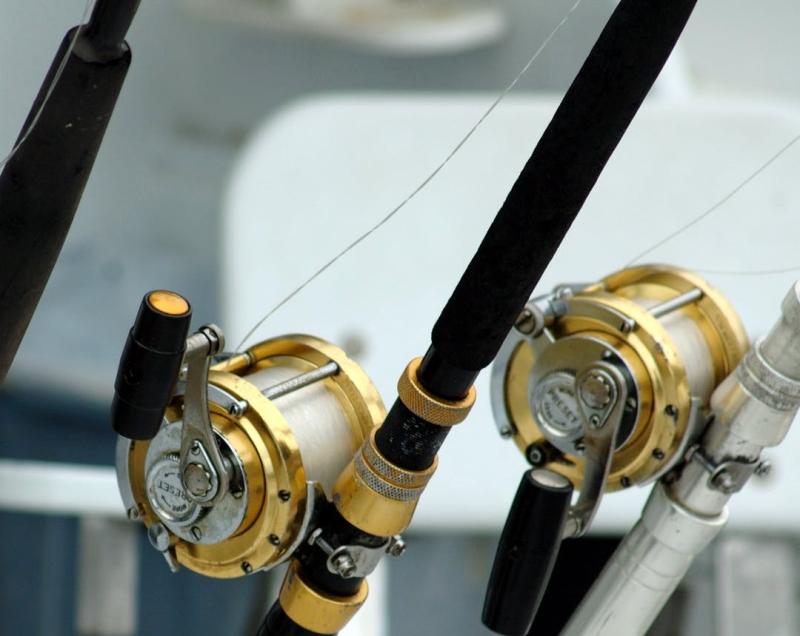 Why I Love to Fish