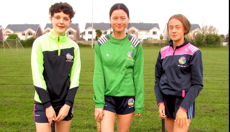 Cahir camogie minors round of year with impressive win in Tipperary final