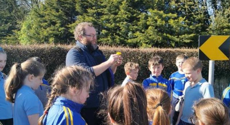 Albert Nolan: Habitat survey with Ballinahinch NS