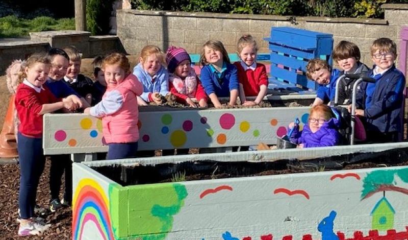 One Tipperary national school is bringing its garden to life 