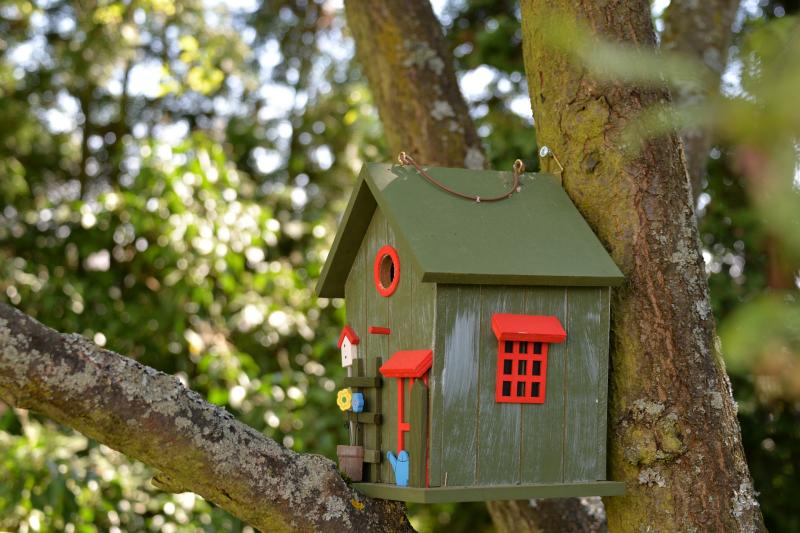 They're for the birds in Mullinahone - six new colourful bird boxes in place