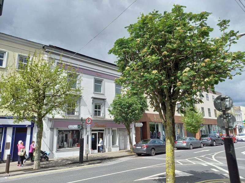Suircan calls on public to help save Clonmel town centre trees