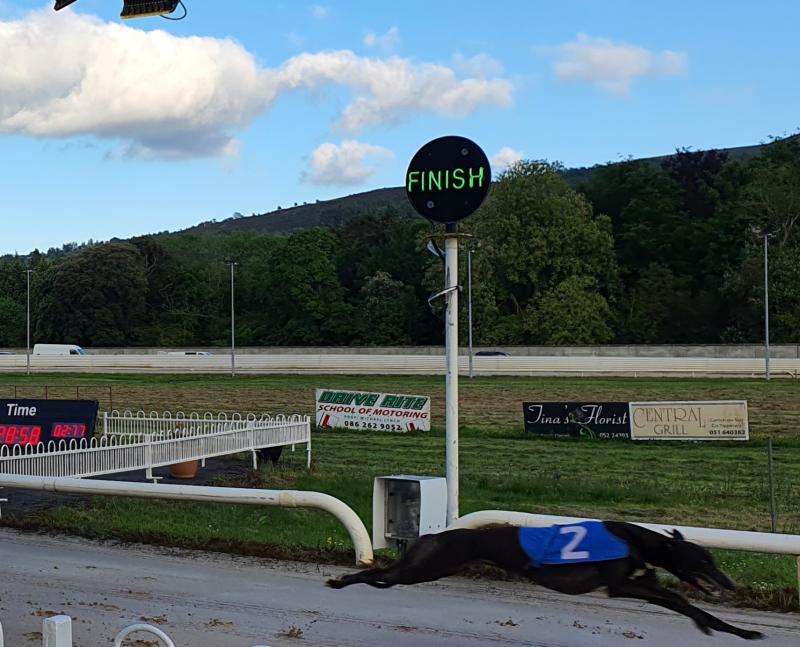 Clonmel Greyhound Racing