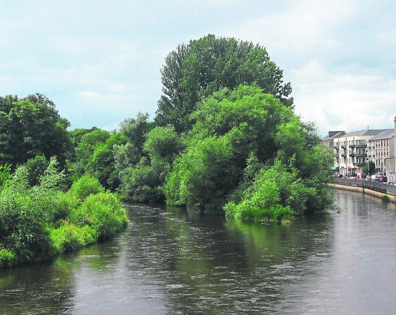 Suir Island