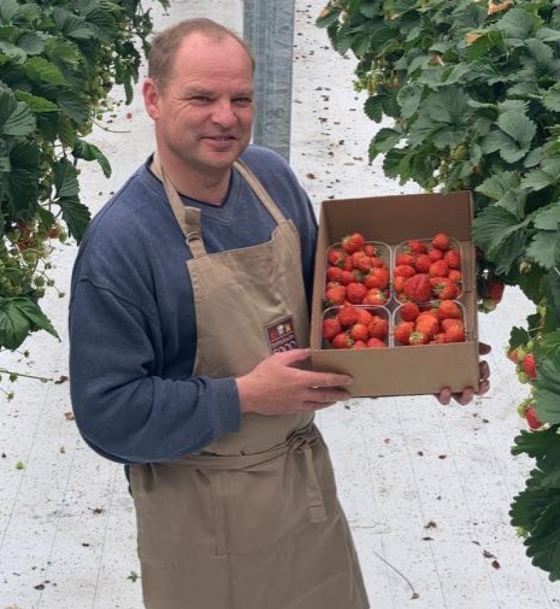 Tipperary grower welcomes first strawberries of the season