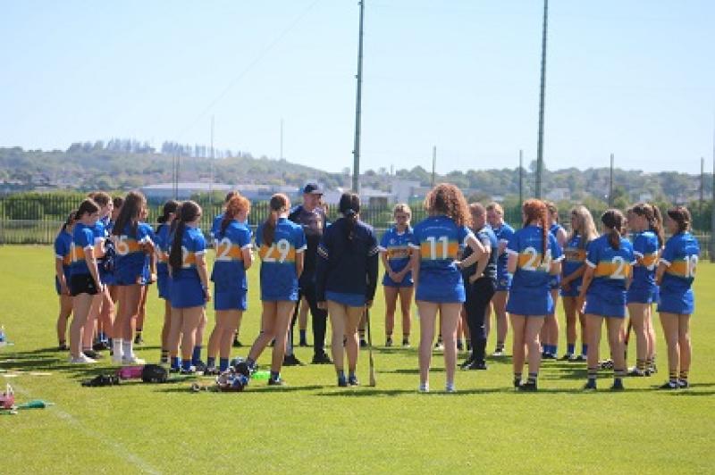 Tipp coach Michael Ferncombe talks to his players during the game