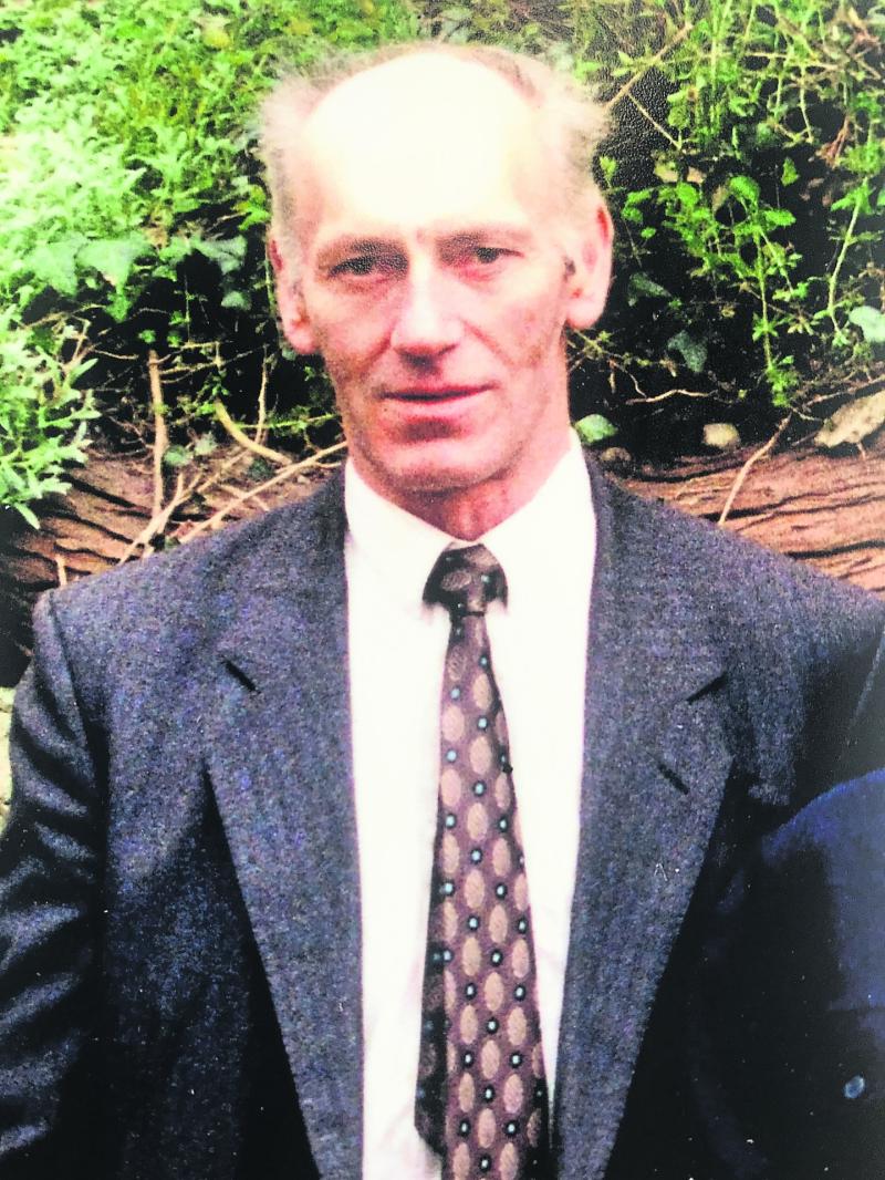 Appreciation -  Michael Bergin of Timoney, Knock, Roscrea
