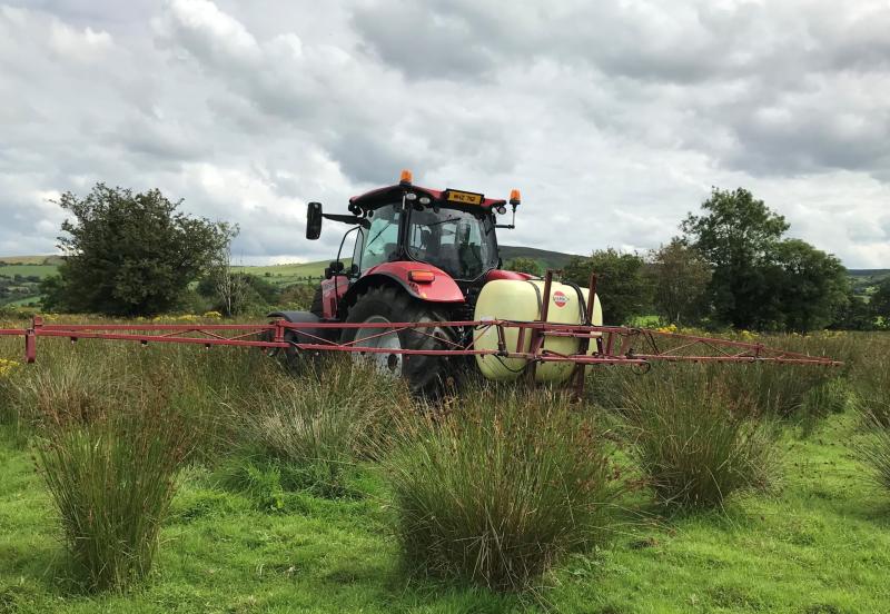 Pesticides again detected in water supply