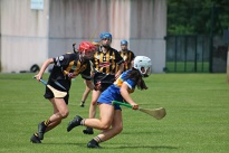 Action from the Tipp Kilkenny clash