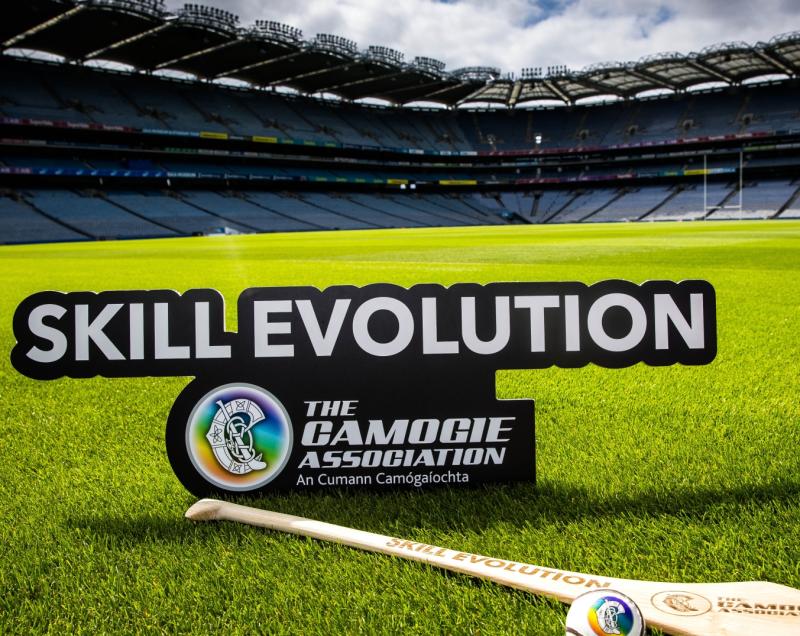 Skill Evolution