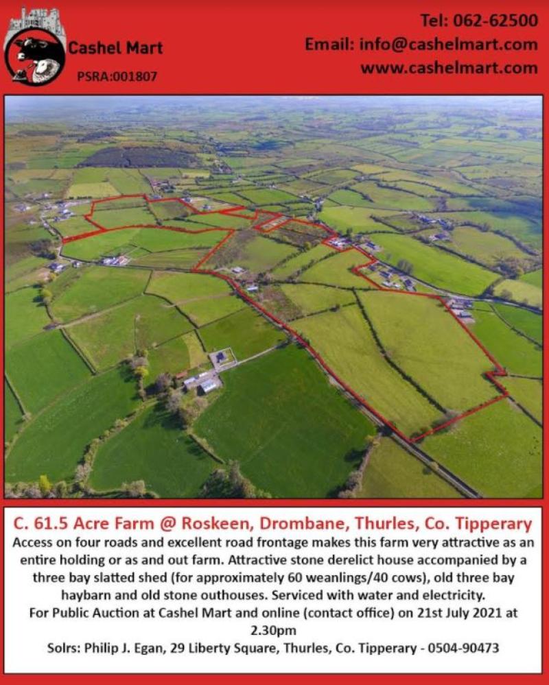 C61.5 acre farm at Roskeen, Drombane, Thurles - for public auction at Cashel Mart