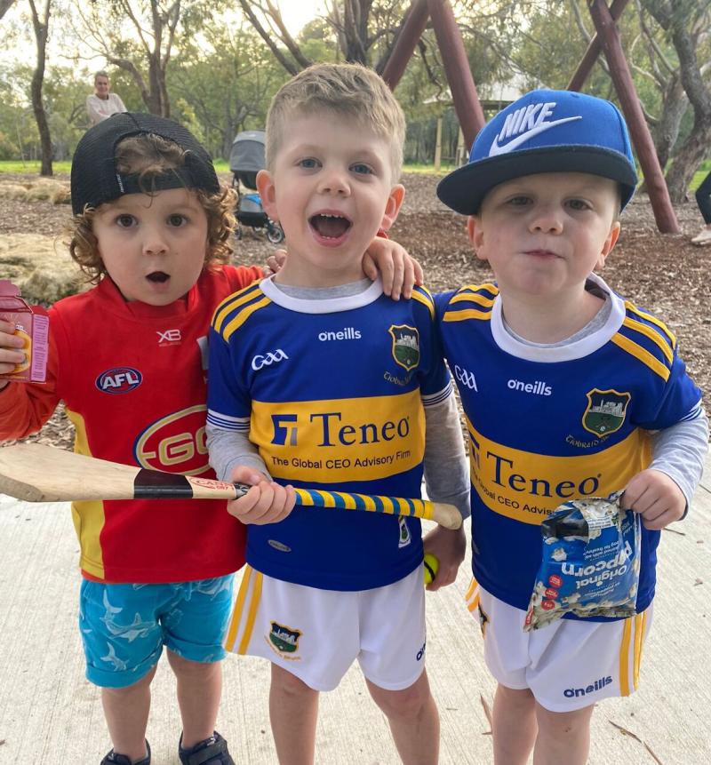 Virtual walk for Tipperary GAA Club even attracted support from Australia